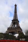 Fototapeta Paryż - Paris Eiffel Tower Park Europe