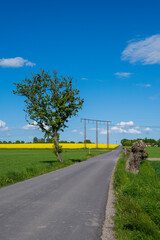 Wall Mural - road in the countryside