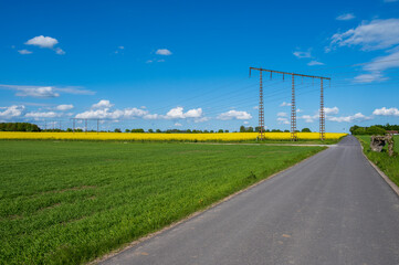Wall Mural - power lines through canola rapeseed field during spring in skåne sweden