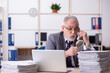 © Elnur - Old male auditor working in the office