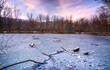 Lago congelado en el bosque de Finalandia, Rascafría Madrid España