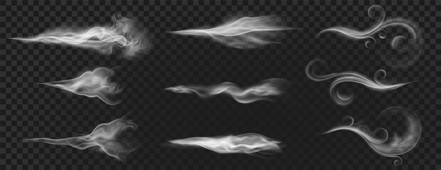 realistic wind blow swirls, smoke air or hot steam. curved flow waves, mist, aroma or perfume clouds