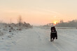 Labrador retriever zimową porą biega po zmarzniętej łące o wschodzie słońca. 