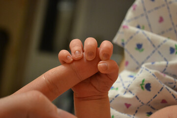 Wall Mural - Closeup shot of an infant hand holding the parent's finger