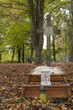 grobowiec na cmentarzu jesienią