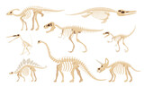 Dinosaur skeleton set vector illustration dino skeletons, dinosaurs, fossils, skull and bones