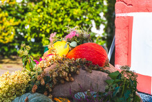 Colorful Autumn Still Life With Pumpkins And Flowers