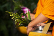 © Tanes - Close-up Buddhist monks hands receive food and flowers.