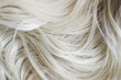 Blond hair closeup