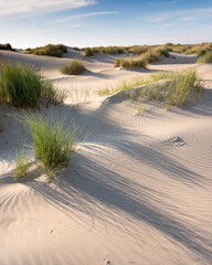 dutch wadden islands have many deserted sand dunes uinder blue summer sky in the netherlands