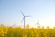 Wind Turbine Energy Generator. Gree Energy Power Supply.