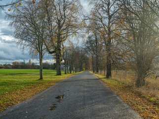 Wall Mural - road in the autumn