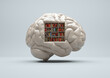 Human brain with a library inside and books.