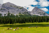 Fototapeta Sawanna - Urlaubsfeeling rund um das schöne Leutaschtal in Tirol