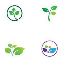 leaf logo and vector images