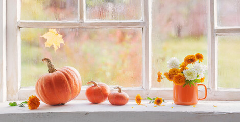 Sticker - autumn flowers and pumpkins  on old white windowsill