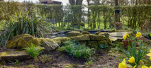 Moss Covered Stones Surround The Duck Pond On The Moorland Smallholding At 900ft
