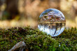 The concept of reflection in a crystal ball of the environment. An inverted autumn view in a crystal ball lying on a stone in the moss. Take care of our nature. Close-up