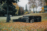 Fototapeta  - Betonowy schron na obrzeżach miasta Kętrzyn