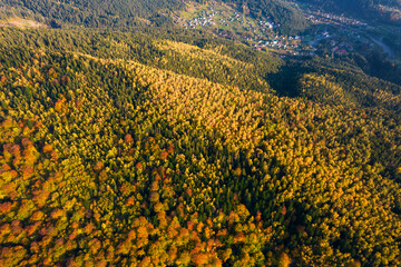 Wall Mural - Top down aerial view of carpathian mountains covered with trees colored into fall colors The gorgeous warm colors of fall foliage