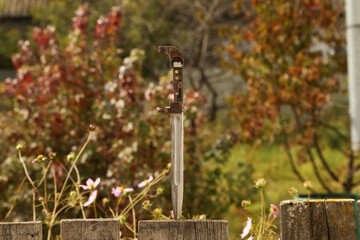 Poster - Vintage bayonet knife in the wood