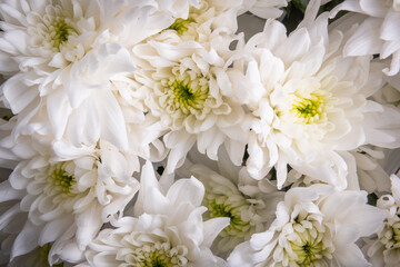 Bouquet of white flowers with slight vignette