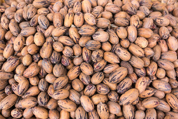 Wall Mural - Pecan nuts are a lot of pile as background and texture. The concept of useful foods and proper nutrition, natural vitamins and minerals not cleaned in the shell, antioxidants