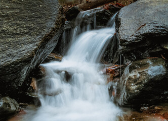 Wall Mural - View of the small waterfall in the forest.