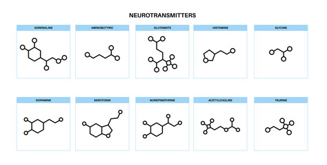 Sticker - Chemical formulas of neurotransmitters