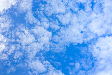 Wall Mural - white fluffy clouds floating over sunny blue sky. beautiful scene of pure nature fuzzy cloudscape. a