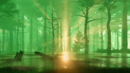 Wall Mural - mysterious forest swamp with supernatural fairy firefly lights flying in magical sunset rays shining