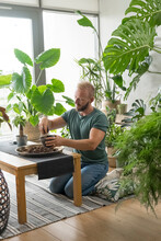 Man Repotting A Plant At Home