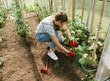 © Hernandez & Sorokina/Stocksy - Woman Working In Hothouse