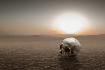 Canvas Print - Human skull on the sand dune