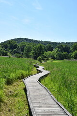 Pochuck Boardwalk – Appalachian Trail. Glenwood, New Jersey