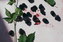Blackberries Background
