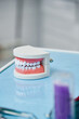 © Elena Kharichkina/Stocksy - Jaw model on the table