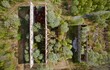 © Adam Sébire/Stocksy - Old factory building ruins overgrown with forest of trees