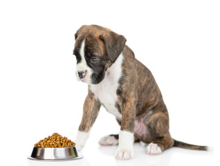 Aufkleber - German boxer puppy looks at bowl of dry dog food. isolated on white background