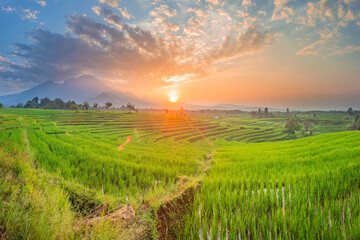 beauty morning view indonesia  of sunrise over beautiful green rice fields with blue mountains