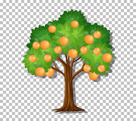 Canvas Print - Orange tree on transparent background