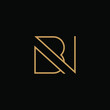 the logo of B and N letters with line art. design combination of 2 letters into one logo that is unique and simple. gold texture. isolated black. modern template. for company and graphic design.
