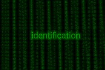 identification hacking, online security concept - personal data protection with biometric technologi