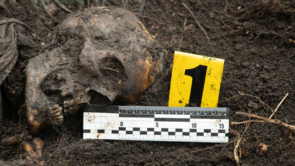 The remains of an unidentified dead man in camouflage clothing were found by the police at the crime scene. With rulers and markers for defining the size of the object. 