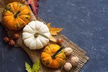 Autumn Composition Of Pumpkins, Leaves And Nuts On Dark Background, Concept Of Thanksgiving Day