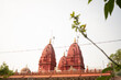 © Anuj - red temple made up of red marble and stone