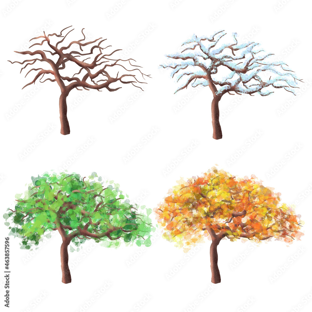Seth deciduous tree view of the four seasons autumn, winter, spring ...