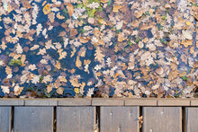 Autumn, Fallen Leaves In The Water Of The Stream And Part Of The Wooden Bridge, In The Park, Outdoors. 