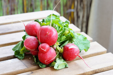 Wall Mural - Radish on the table