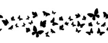 Seamless Flock Of Silhouette Black Butterflies On White Background. Vector